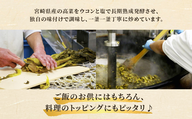 ＼ポスト投函／高菜油炒め(計3袋) つけもの おかず 野菜 加工品 国産_T037-015