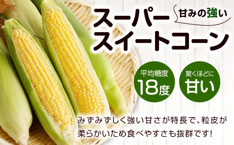 先行予約≪期間限定≫2種のスイートコーン＆枝豆セット(合計5kg) 野菜 旬 国産_T003-0095