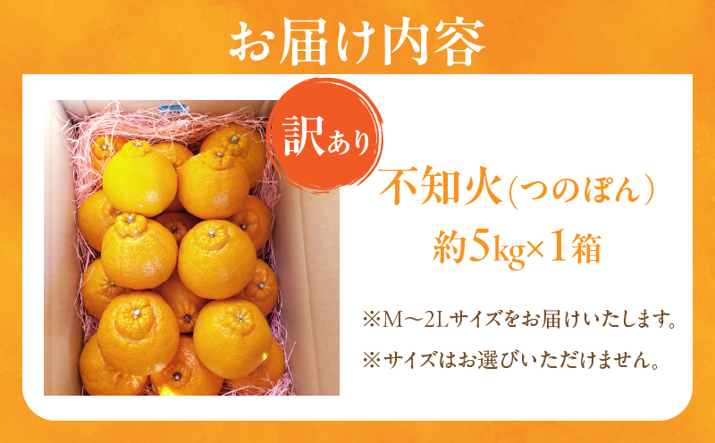 先行予約≪数量限定≫訳あり不知火(つのぽん)約5kg フルーツ 果物 柑橘 みかん 国産_T002-002