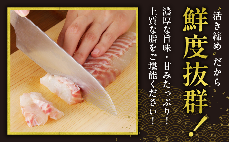都農町産「つのタマカイ(鍋用・ぶつ切り)2〜3人前」計500g 魚 魚介 養殖 希少 国産_T012-001