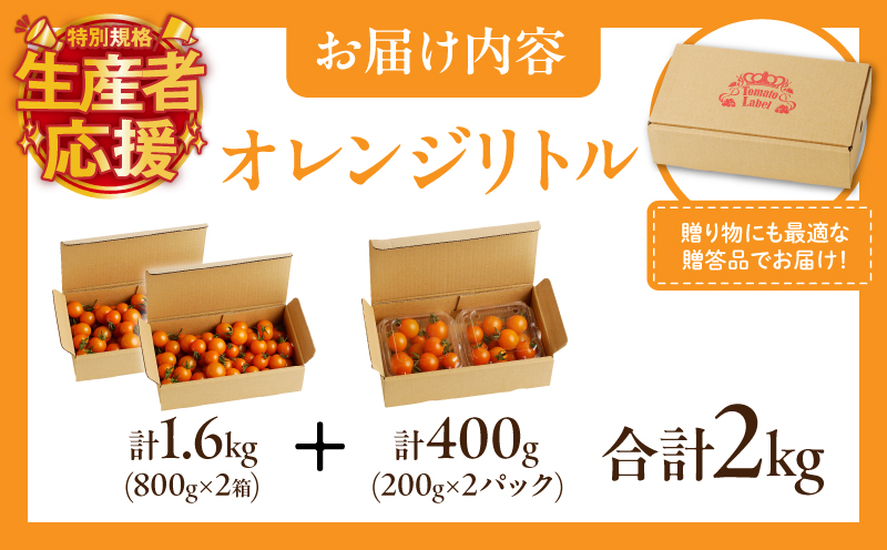 生産者応援!!【期間・数量限定特別規格】オレンジリトル（計2kg） ミニトマト 野菜 サラダ 国産_T040-0011-ZO