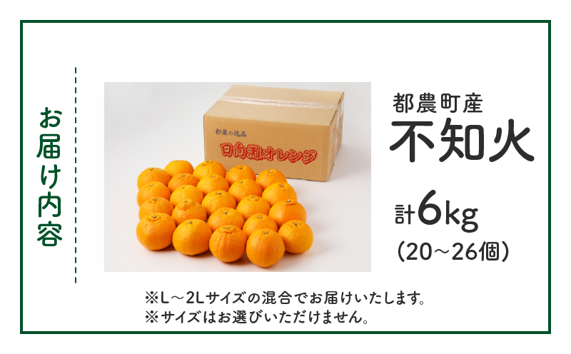 先行予約≪期間限定≫都農町産「不知火(しらぬい)計6kg」 フルーツ 果物 柑橘 みかん 国産_T008-002