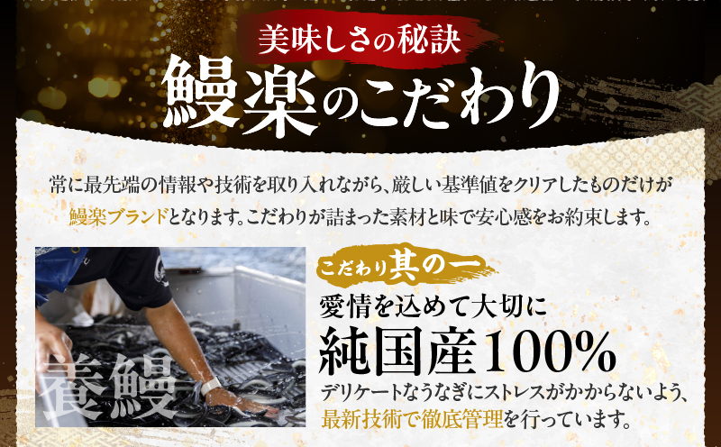 【選べる3回定期便】うなぎ蒲焼5尾(さんしょう・たれ付き)計800g以上 鰻 魚 魚介 加工品 国産_T026-0036-SKU