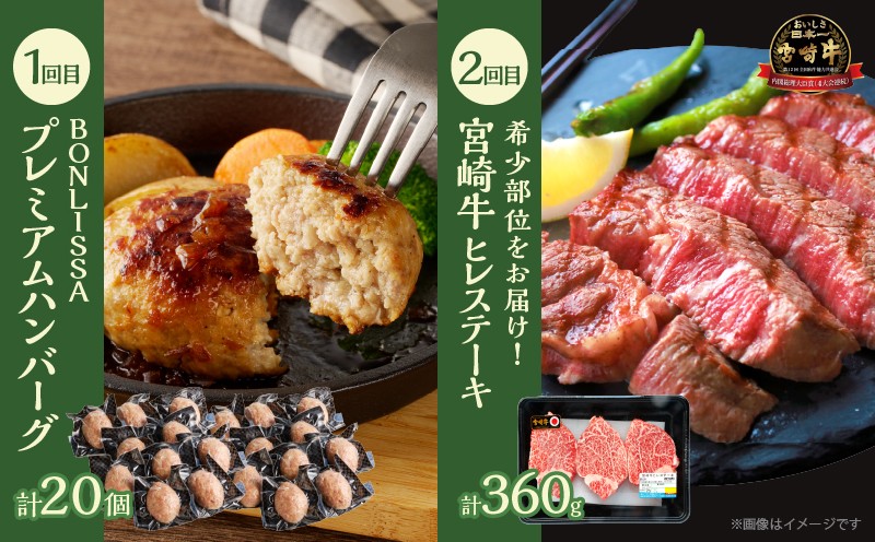 ≪12か月お楽しみ定期便≫都農町定期便(松) 肉 加工品 デザート 国産_T999-0106