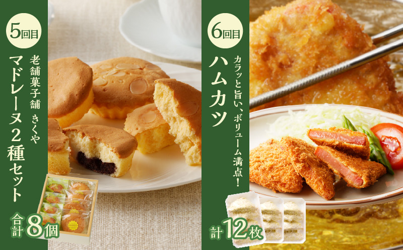 ≪12か月お楽しみ定期便≫都農町定期便(梅) 肉 加工品 デザート 国産_T999-0086