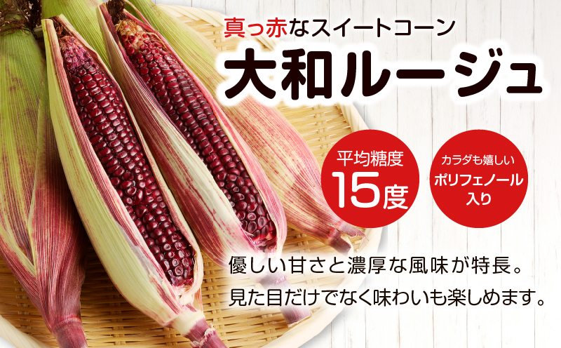 先行予約≪期間限定≫大和ルージュ＆そのでこセット(合計1.5kg以上) 野菜 加工品 国産_T003-0145