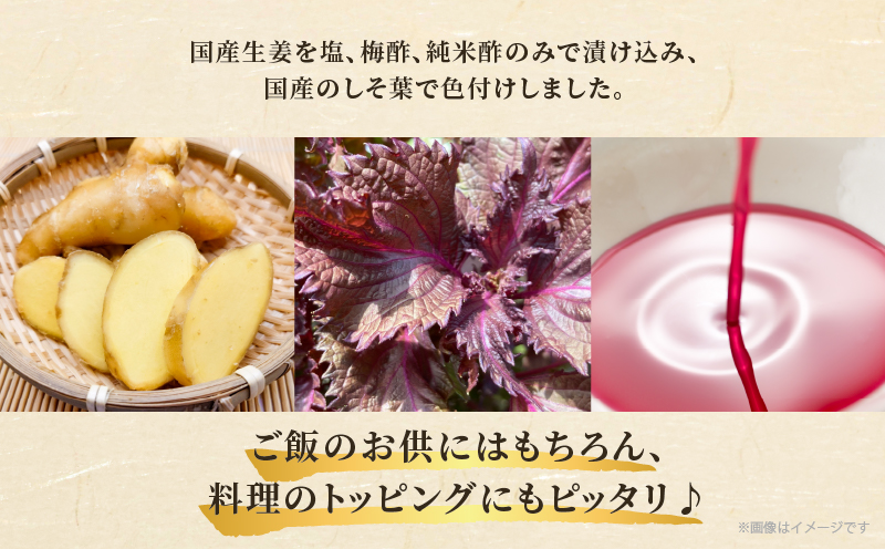 ＼ポスト投函／梅酢生姜100g おかず 漬物 野菜 加工品 国産_T037-0101