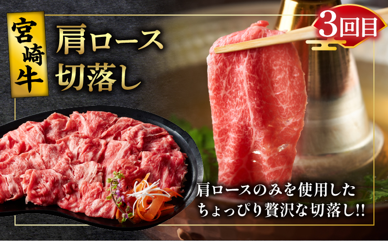 6か月お楽しみ定期便『宮崎牛スペシャル6種セット』総重量4.6kg 肉 牛 牛肉 焼肉 国産_T009-0022