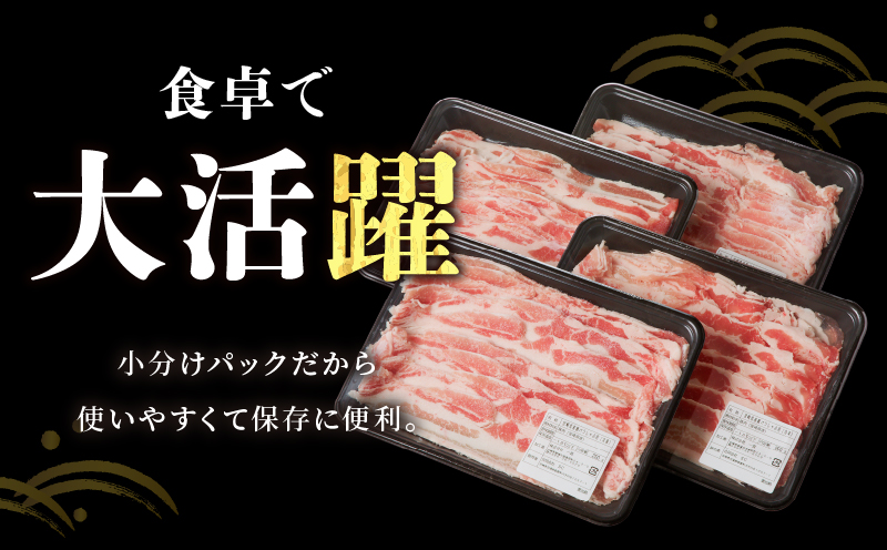 宮崎県産豚バラしゃぶしゃぶ用(計1kg) 肉 豚 豚肉 おかず 国産_T009-0133