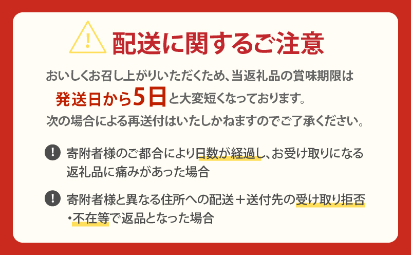＼年内発送!!／南国プリン「カタセボン(計6個)」 スイーツ 洋菓子 国産_T038-0021-N