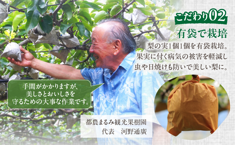 先行予約≪期間限定≫まるみ観光果樹園の『新高梨』(約4kg) なし 果物 フルーツ 天然 ミネラル栽培_T036-0025