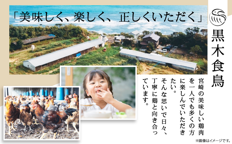 【定期便も選べる】 ≪数量限定≫宮崎県産 若鶏モモ肉切身 計3kg 計9kg