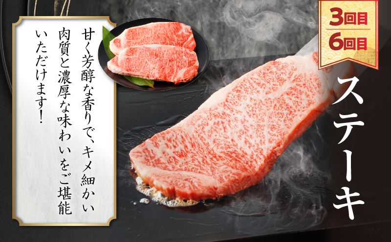 ≪6か月定期便≫夢の宮崎牛食べつくしセット(総重量6kg) 肉 牛 牛肉 おかず 国産_T030-1433