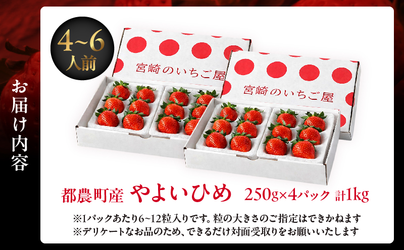 ≪数量限定≫都農町産いちご「やよいひめ」計1kg フルーツ 果物 デザート イチゴ 国産_T059-0025