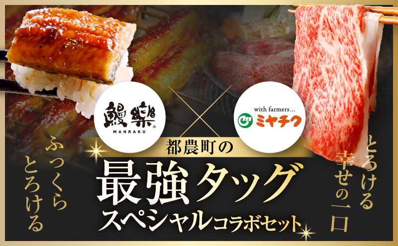 ≪数量限定≫うなぎ×黒毛和牛 都農町最強セットB 肉 牛 牛肉 おかず 国産_T030-1303