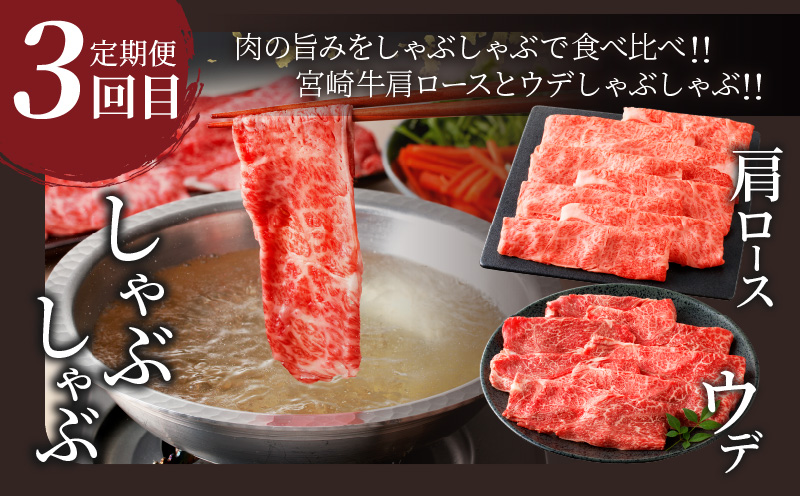 3か月お楽しみ定期便『宮崎牛よくばりセット』総重量2.4kg 肉 牛 牛肉 おかず 国産_T030-1363