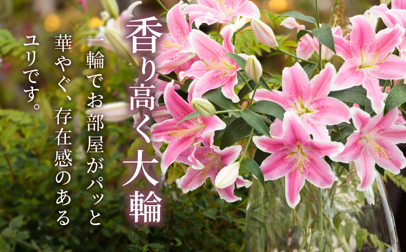 【2週間以内発送】「オリエンタルリリー ユリ」(ピンク) 計6本 生花 切花 百合 国産_T045-0021