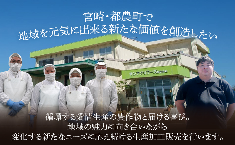 【2週間以内発送】宮崎県産豚もも切り落とし（計1.5kg）肉 豚 豚肉 おかず 国産_T025-044