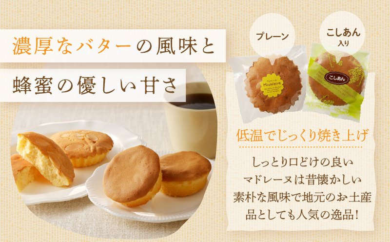 【2週間以内発送】老舗菓子舗のマドレーヌ2種セット「合計6個・個包装」 焼き菓子 スイーツ 詰め合わせ 洋菓子_T035-020