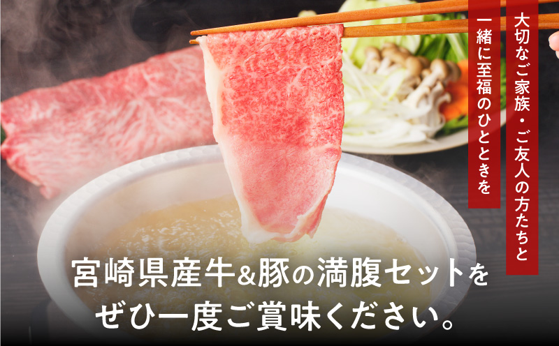 ≪6か月お楽しみ定期便≫宮崎県産牛＆豚の満腹セット(総重量7kg) 肉 牛 牛肉 豚肉 おかず 国産_T030-1863