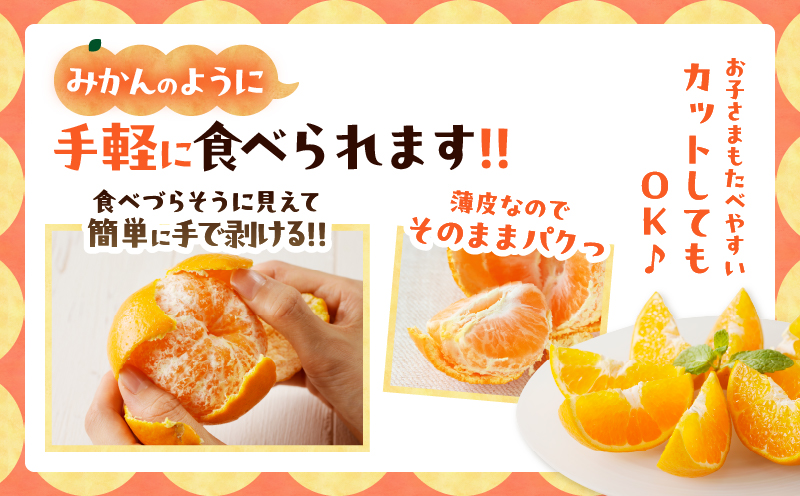 先行予約≪期間限定≫都農町産「不知火(しらぬい)計6kg」 フルーツ 果物 柑橘 みかん 国産_T008-002