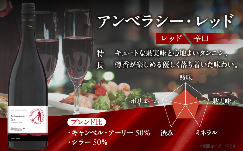 【数量限定】アンベラシー レッド(計1本) ワイン 酒 アルコール 国産_T014-046