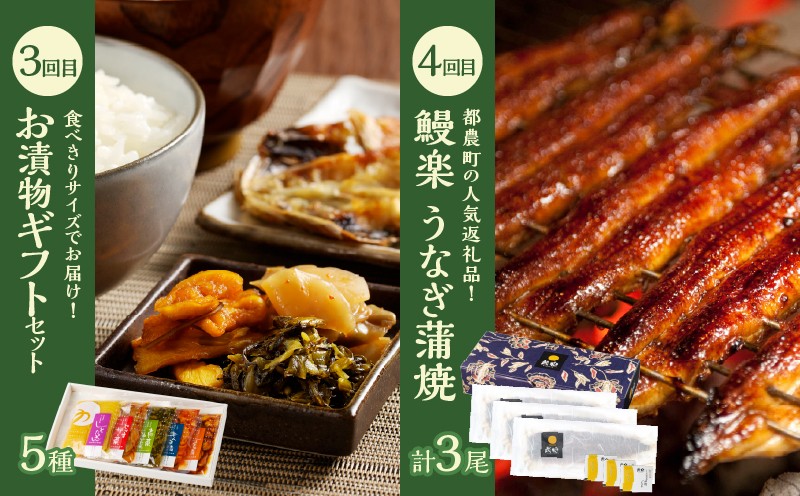 ≪12か月お楽しみ定期便≫都農町定期便(梅) 肉 加工品 デザート 国産_T999-0086