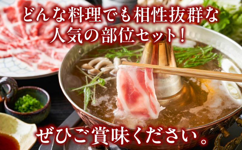 宮崎県産豚バラ＆豚肩ローススライスセット合計2.1kg 肉 豚 豚肉 焼肉 国産_T009-0073