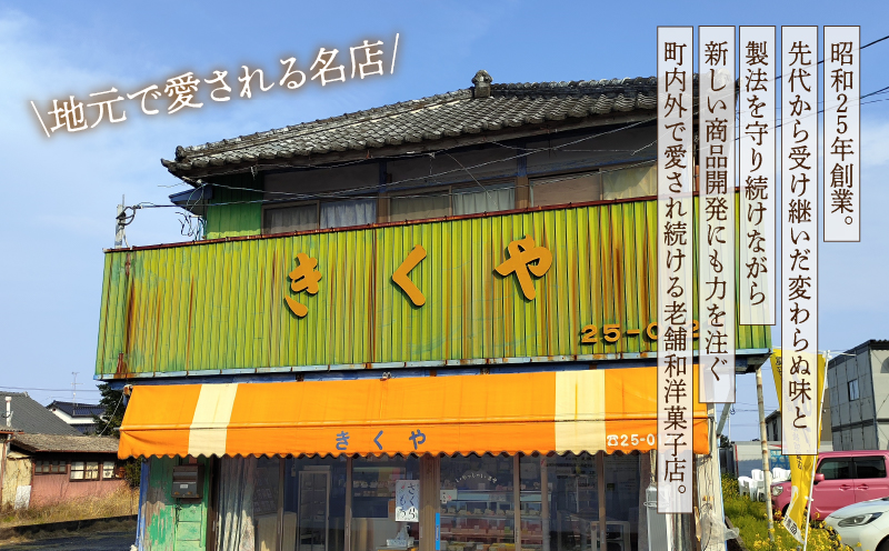 【2週間以内発送】老舗菓子舗のマドレーヌ計10個 焼き菓子 スイーツ 詰め合わせ 洋菓子_T035-0021