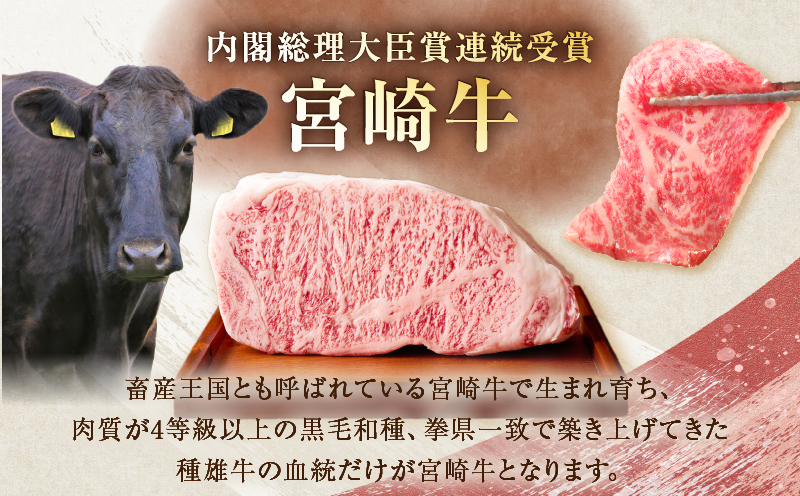 ≪数量限定≫うなぎ×宮崎牛 都農町最強セットC 肉 牛 牛肉 焼肉 国産_T030-1313