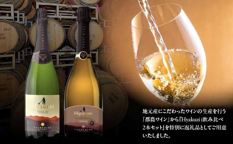 Hyakuzi飲み比べ2本セット 酒 飲料 アルコール 国産_T014-0367