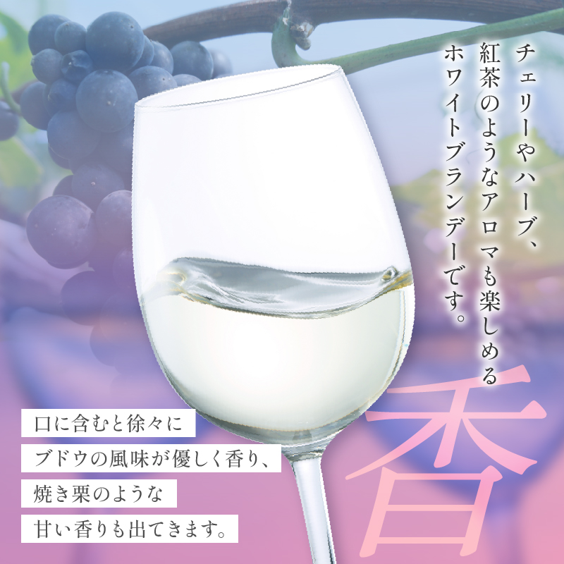 【数量限定】ホワイトブランデーBojo(計1本) 酒 飲料 アルコール 国産_T014-017