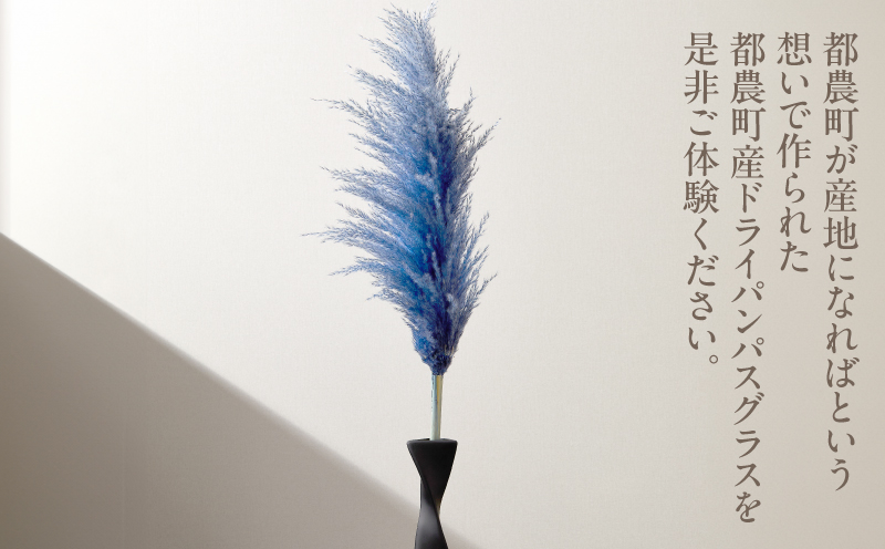 【2週間以内発送】ドライパンパスグラス（ブルー）計5本 すすき インテリア 国産_T057-002