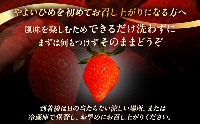 ≪数量限定≫都農町産いちご「やよいひめ」計500g フルーツ 果物 デザート イチゴ 国産_T059-0015