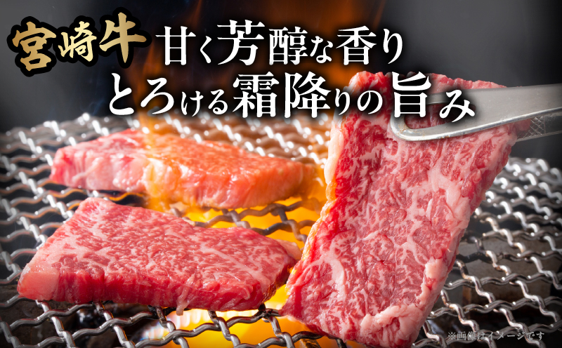 宮崎牛ロース(焼肉用)計400g 肉 牛 牛肉 国産_T050-0031