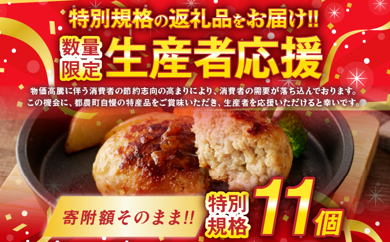 生産者応援!!【期間・数量限定特別規格】宮崎県産豚プレミアムハンバーグ(計11個) 肉 豚肉 加工品 惣菜 国産_T001-0101-ZO