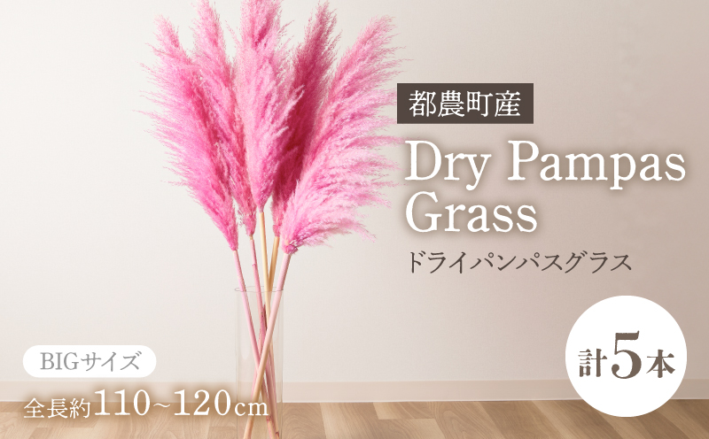 【2週間以内発送】ドライパンパスグラス（ピンク）計5本 すすき インテリア 国産_T057-004