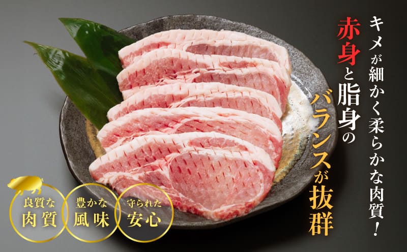 【内容量が選べる】≪宮崎ブランドポーク≫ロース(トンテキ・とんかつ用) 500g 1kg 1.5kg 2kg