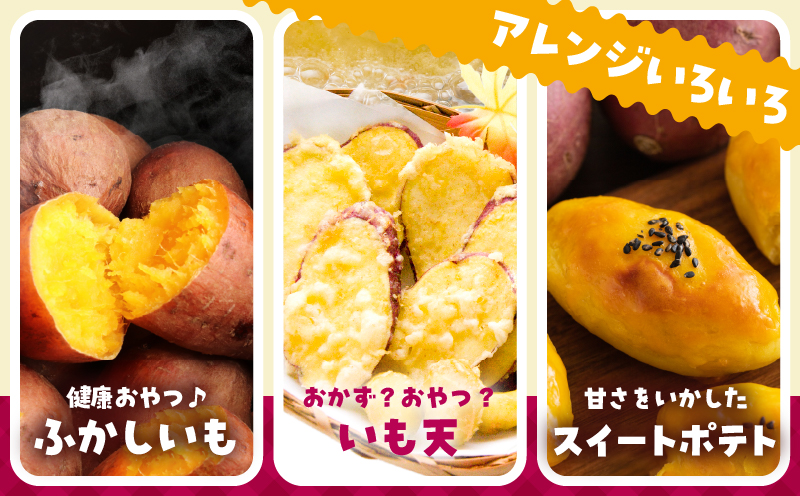 先行予約≪期間限定≫都農町産安納芋(計10kg) 野菜 芋 イモ 国産_T016-0021