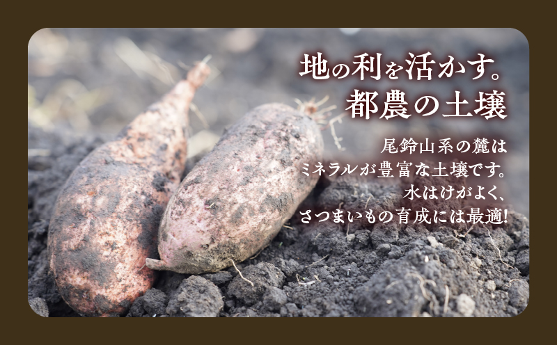 先行予約≪期間限定≫都農町産安納芋(計10kg) 野菜 芋 イモ 国産_T016-0021