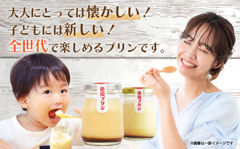 南国プリン「カタセボン(計6個)」 スイーツ 洋菓子 国産T038-0021