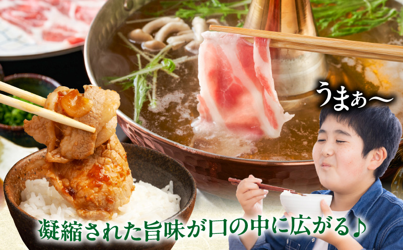 宮崎県産豚ローススライス計1.8kg 肉 豚 豚肉 おかず 国産_T009-0062