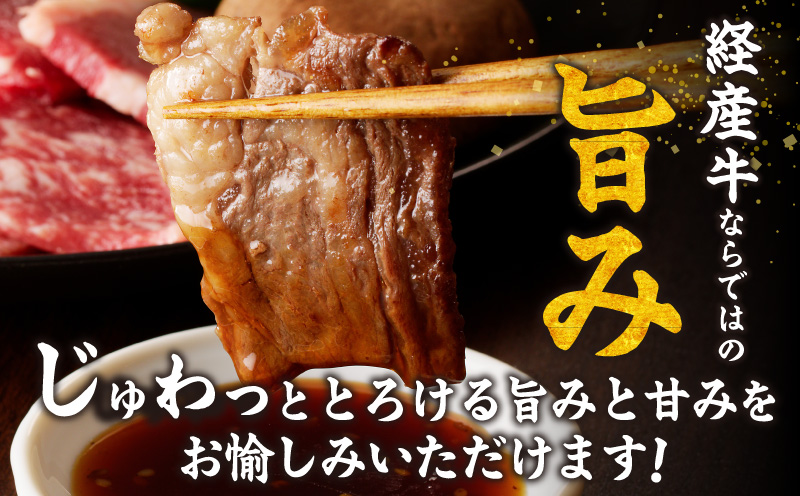 生産者応援≪訳あり≫黒毛和牛(経産牛)6種焼肉セット(合計300g) 肉 牛 牛肉 おかず 国産_T030-1193