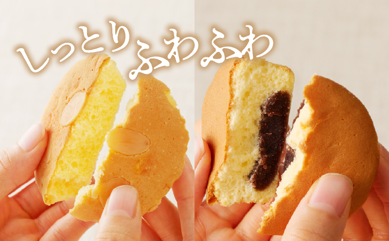 【2週間以内発送】老舗菓子舗のマドレーヌ2種セット(合計10個) 焼き菓子 スイーツ 詰め合わせ 洋菓子_T035-0061