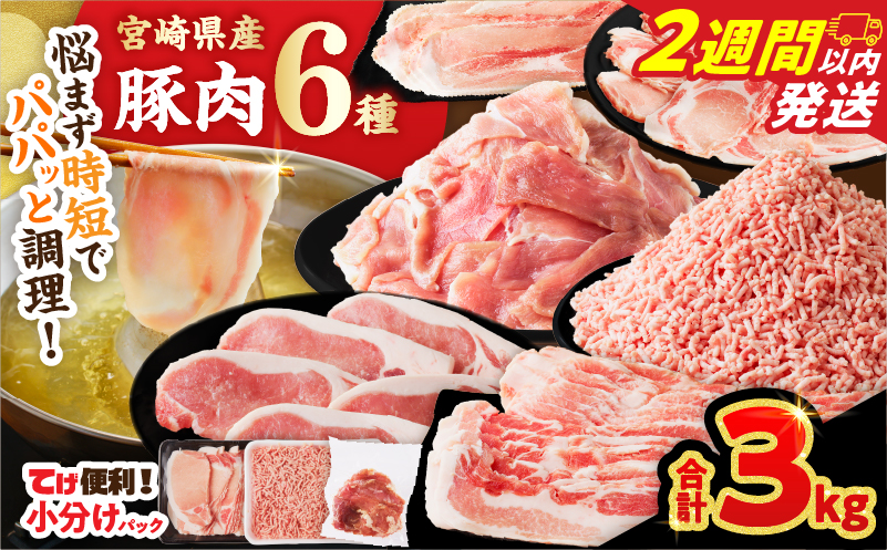 【2週間以内発送】≪宮崎県産≫豚肉6種＼てげスゲーセット／合計3kg 肉 豚 豚肉 おかず 国産_T009-031-2W