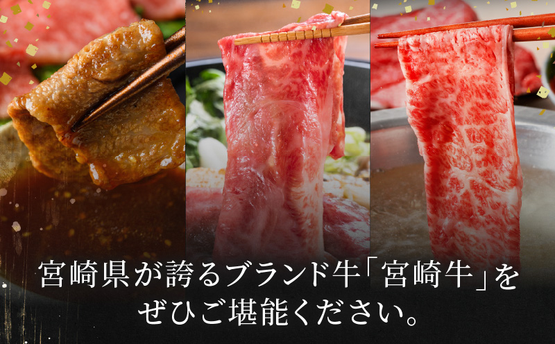 6か月お楽しみ定期便『宮崎牛よくばりセット』総重量4.8kg 肉 牛 牛肉 おかず 国産_T030-1843
