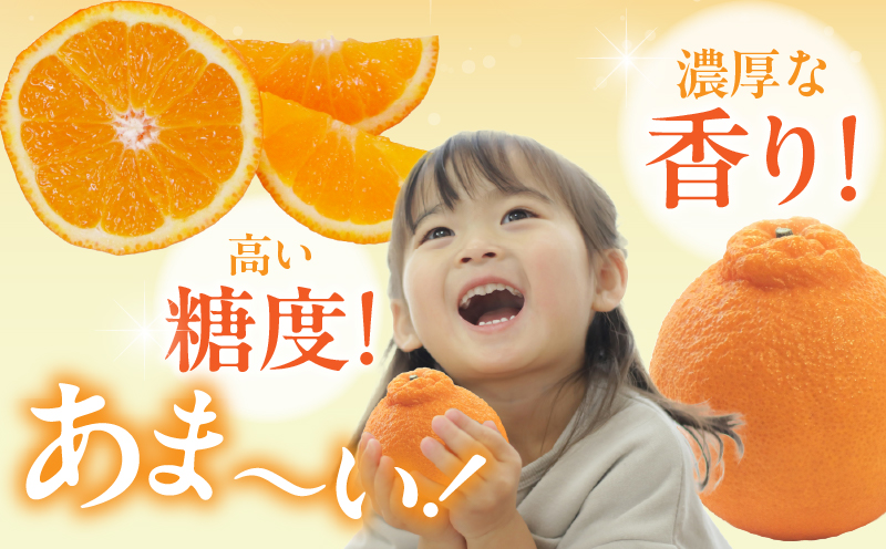 先行予約«数量限定»不知火(つのぽん)約4kg フルーツ 果物 柑橘 みかん 国産_T002-001