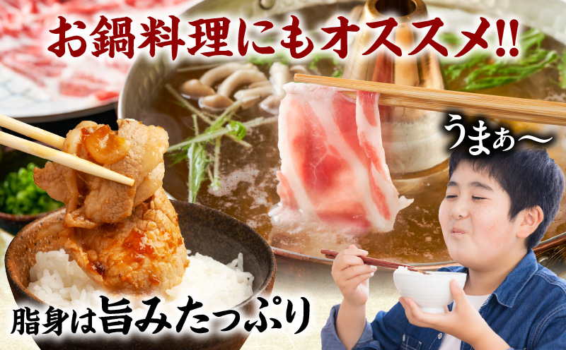 ≪訳あり≫宮崎県産豚ローススライス計1kg≪ロース・肩ロースどちらかのお届け≫ 肉 豚 豚肉 おかず 国産_T009-0103