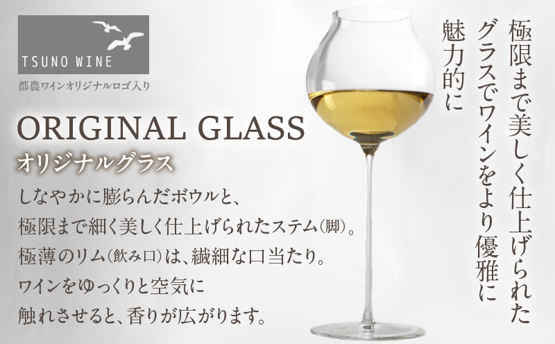 ≪数量限定≫都農ワイン ピノグリ2本&グラスセット 酒 飲料 アルコール 国産 ロナ_T014-0215