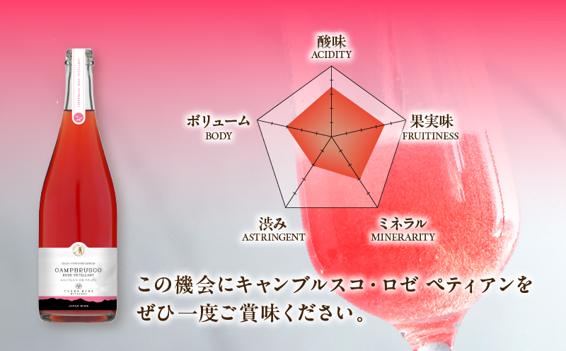 【数量限定】キャンブルスコ・ロゼ ペティアン (計1本) 酒 ワイン アルコール 国産_T014-019
